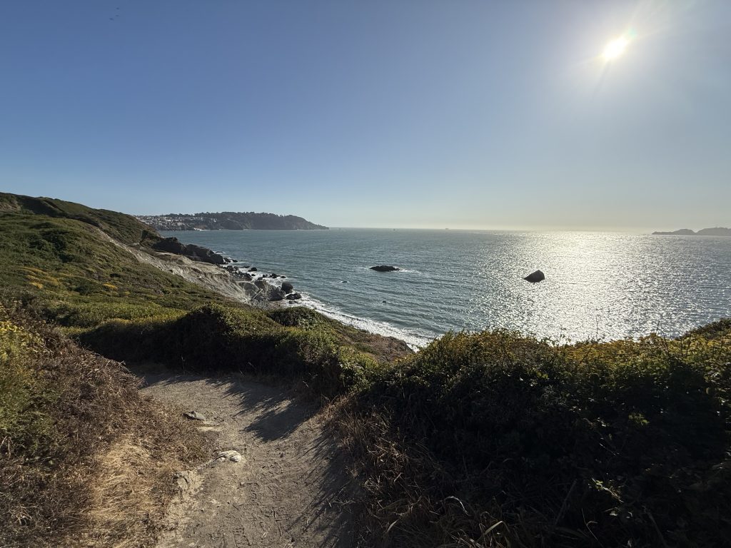 a view of the ocean from a trail