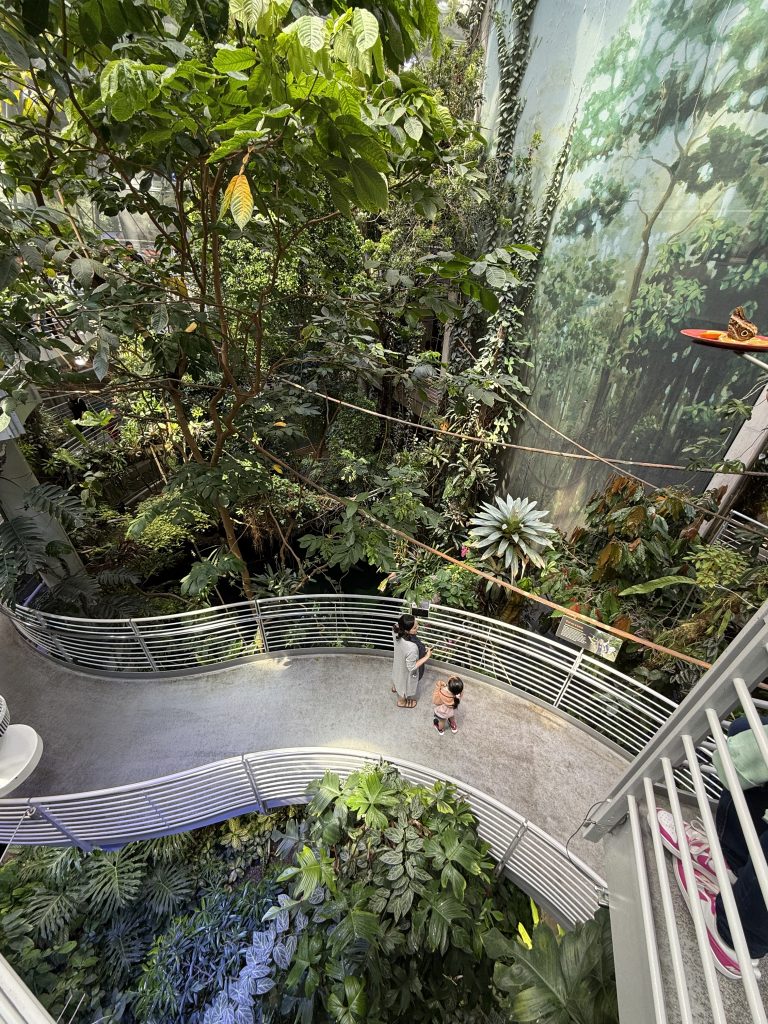 a view looking down on a multi-story botanical garden