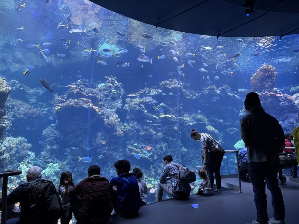 a group of people sitting in front of a room-sized aquarium