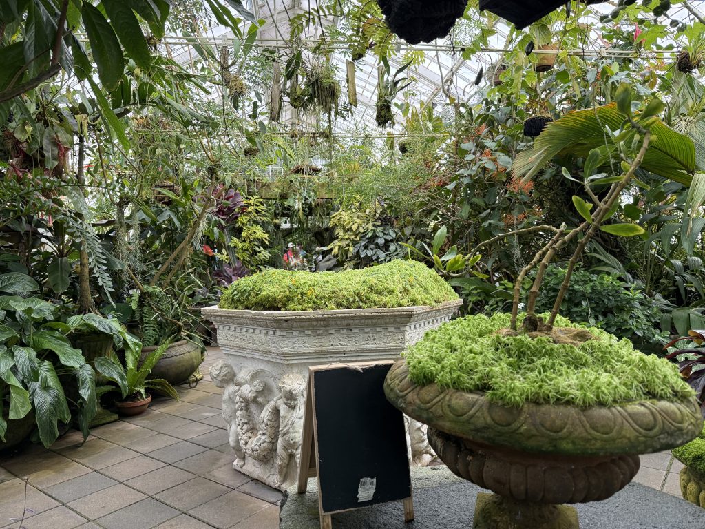 interior of a large greenhouse
