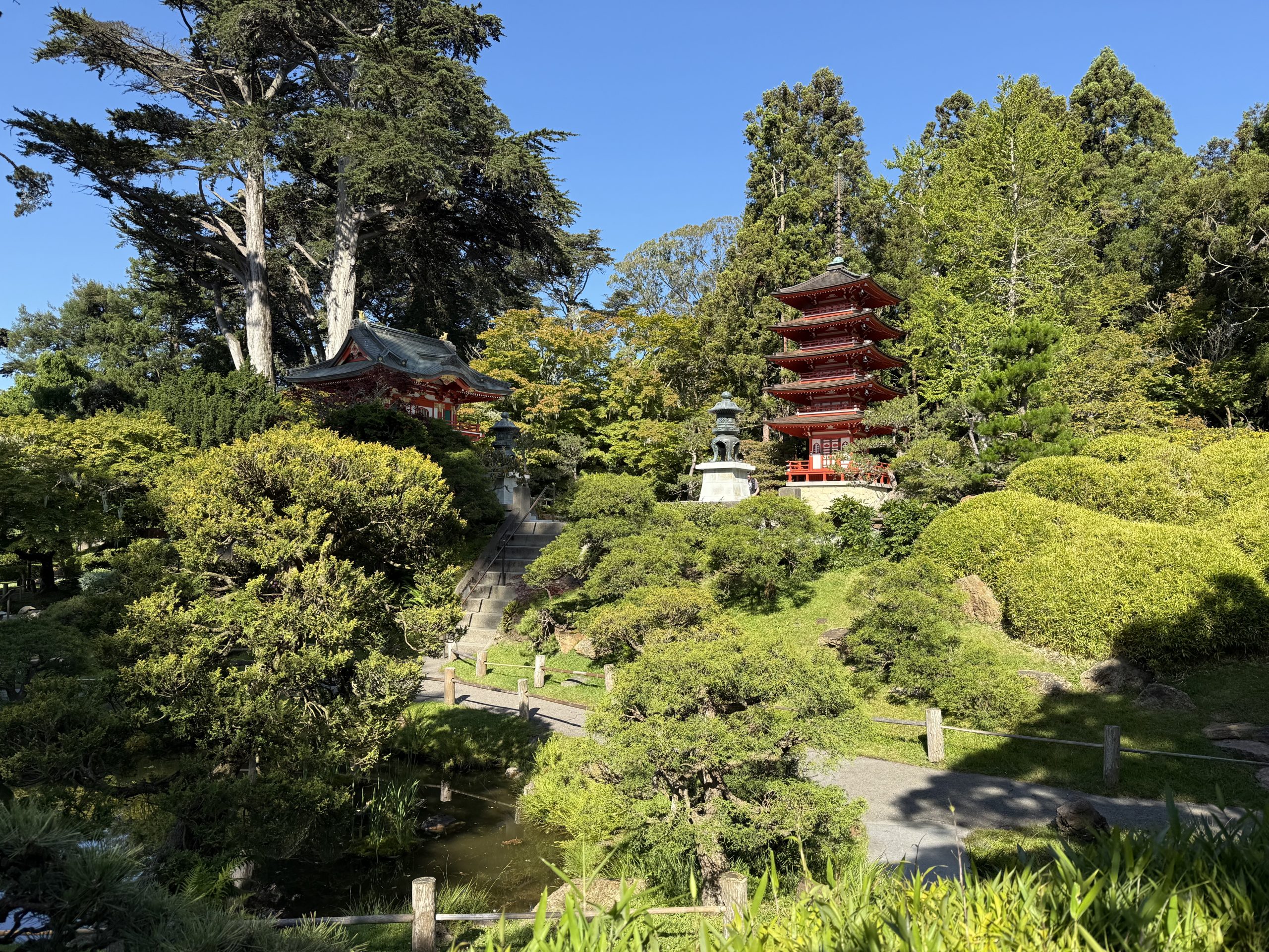 a Japanese garden. large red structures are in the distance nestled between trees and bushes