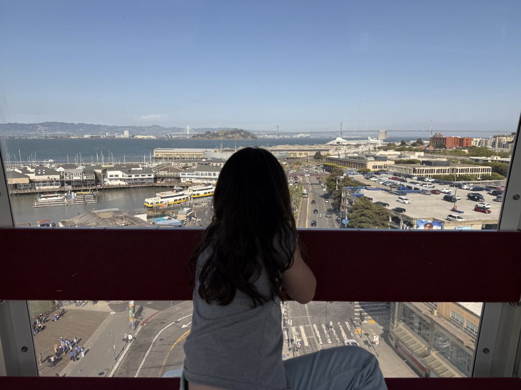 a girl looks out from on top of a ferris wheel